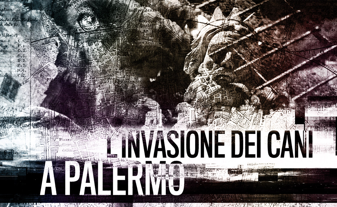 L’invasione dei cani a Palermo