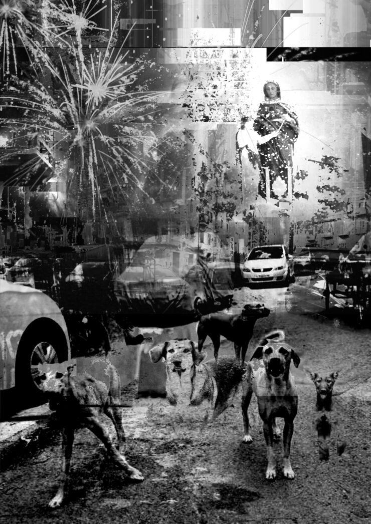 L’invasione dei cani a Palermo